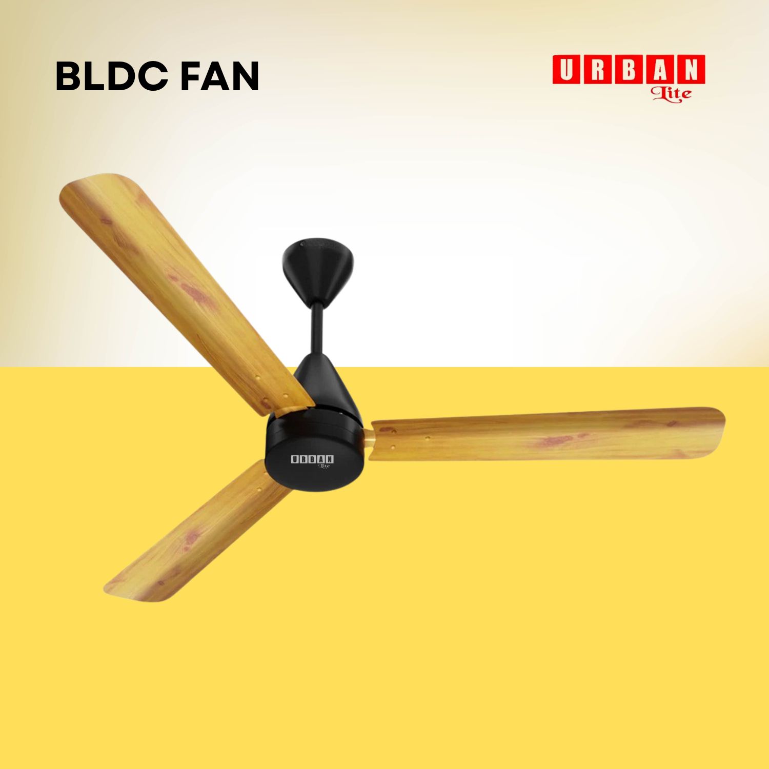 BLDC Ceiling Fan
